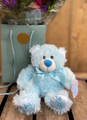 Baby Boy Bear